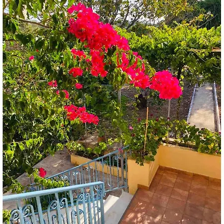 Grape * Kastron (Kefalonia)